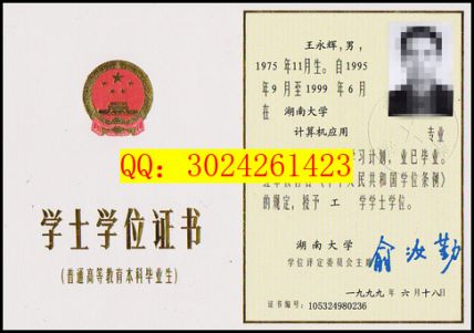 湖南大学1999年学位证样本