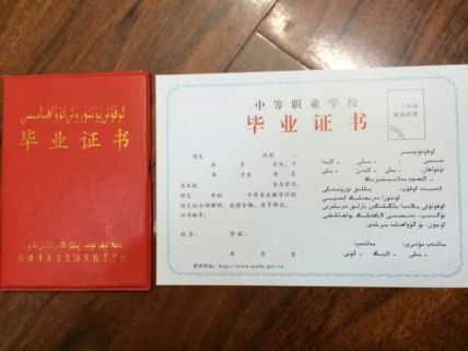 新疆科技学院中专毕业证样本
